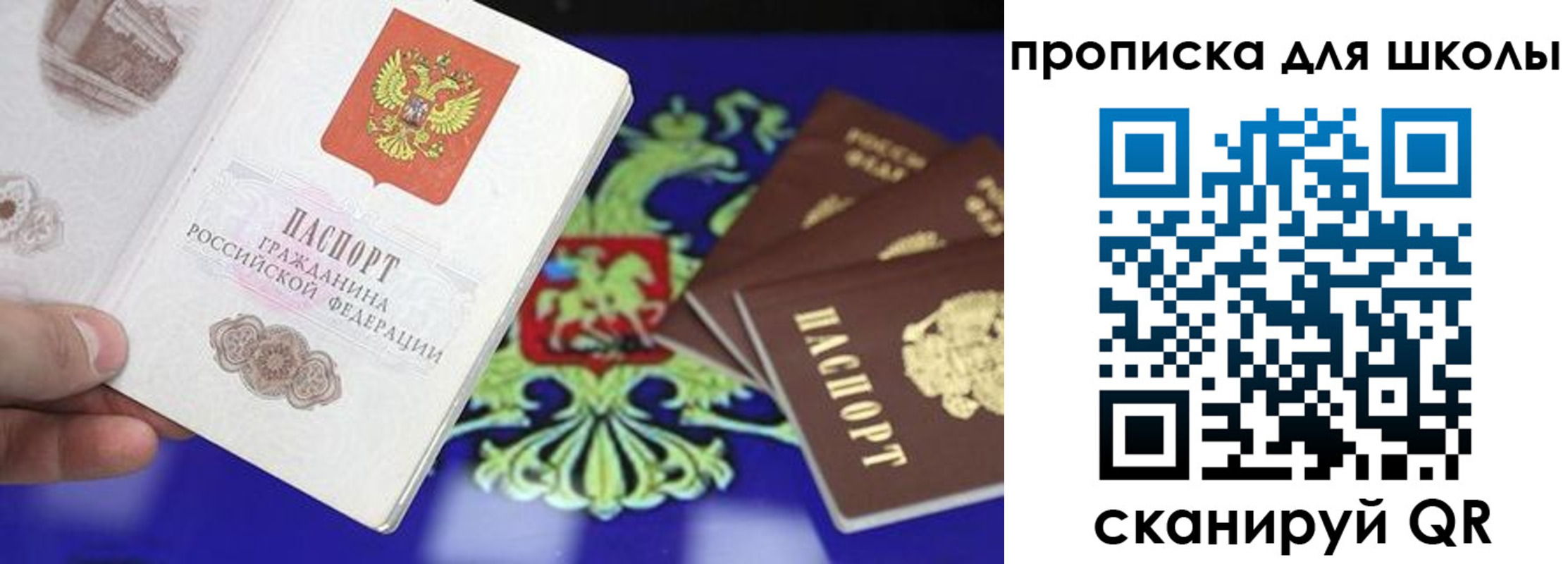 прописка в квартире в Курске